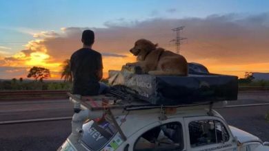 Photo of Influencer brasileiro que rodava o mundo com cão morre em acidente nos EUA
