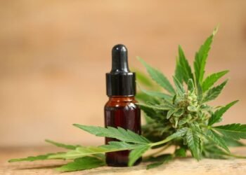 Justiça Federal autoriza associação de Pernambuco a cultivar cannabis medicinal