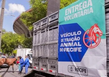 Um mês após início da Lei de Tração Animal, PCR amplia fiscalizações enquanto assegura contrapartida de entrega voluntária