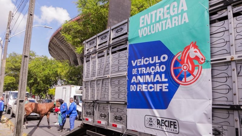 Um mês após início da Lei de Tração Animal, PCR amplia fiscalizações enquanto assegura contrapartida de entrega voluntária