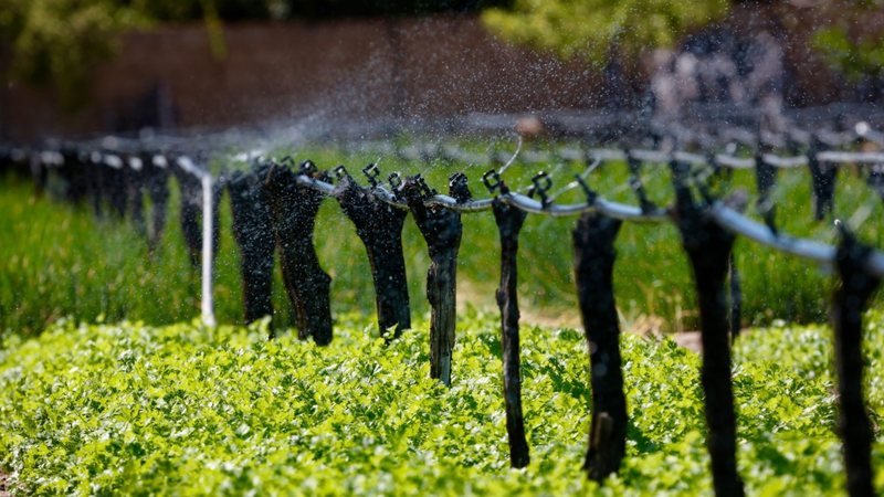 BNB investe R$ 100 milhões em infraestrutura hídrica para agricultores de Pernambuco