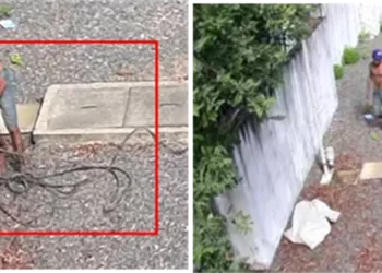 homem invade subestação da Neoenergia para furtar fios e acaba preso