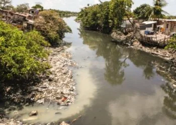 TCE suspende licitação de R$ 147 milhões de Raquel Lyra para dragagem