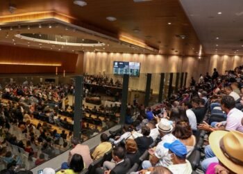 Alepe cria comissão especial para acompanhar projeto do Canal do Sertão em Pernambuco