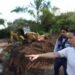 Estado mantém força-tarefa para atender municípios afetados pelas chuvas, afirma governadora