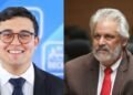 vícios de inconstitucionalidade e de iniciativa