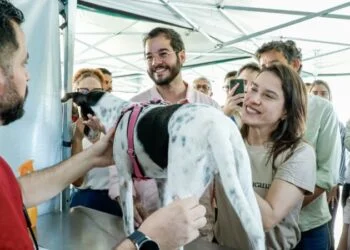 Raquel Lyra amplia meta do Castramóvel para 40 mil castrações gratuitas até o fim do ano