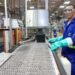 Indústria puxa saldo positivo de Pernambuco em geração de empregos em julho, mostra Governo Federal