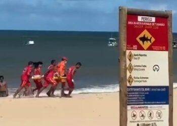 Pernambuco volta a monitorar tubarões após suspensão desde 2015